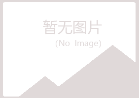 兰山区夏槐材料有限公司